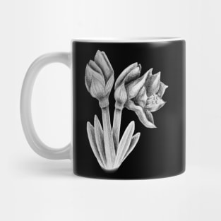 Black and white Amaryllis Mug